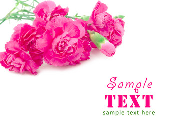 Similar image 130611