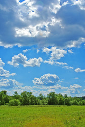 Similar image 130618