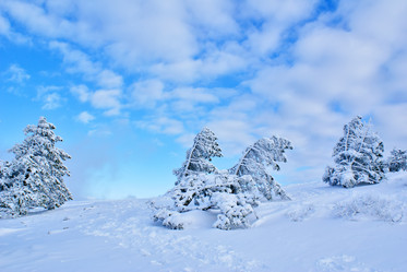 Similar image 130619