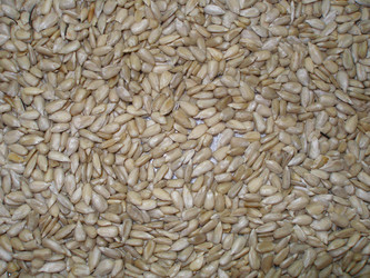 Similar image 130646