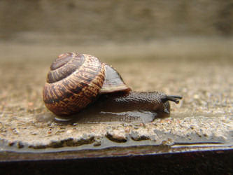 Similar image 130661