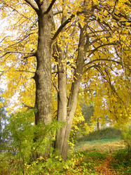 Similar image 130665