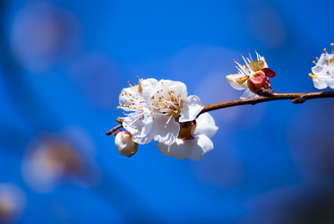 Similar image 130688