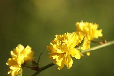 Similar image 130698