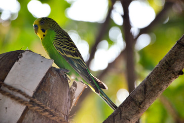 Similar image 130715