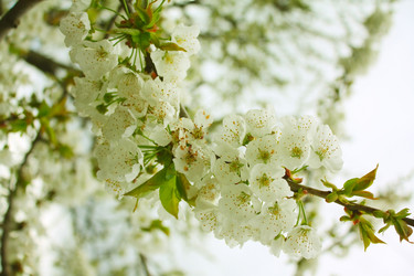 Similar image 130772