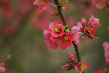 Similar image 130775