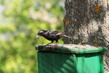 Similar image 130777