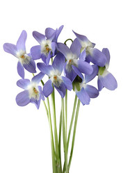 Similar image 130788