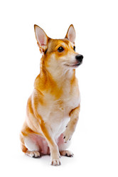 Similar image 130795