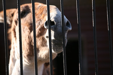 Similar image 130816