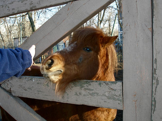 Similar image 130840