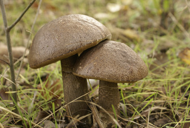 Similar image 130872