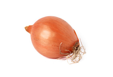 Similar image 130879