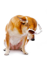 Similar image 130891