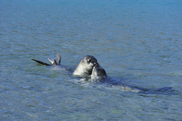 Similar image 130898