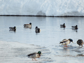 Similar image 130925