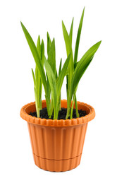 Similar image 130929