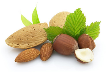 Similar image 130931