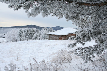 Similar image 130944