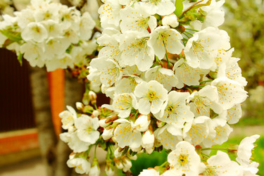 Similar image 130983