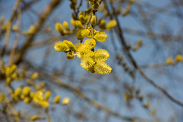 Similar image 130986