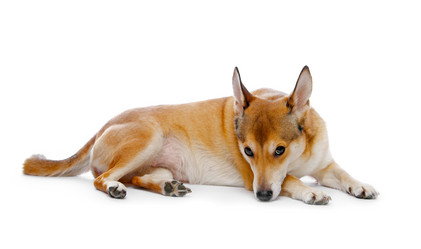 Similar image 131021