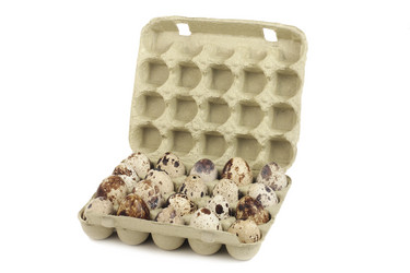 Similar image 131059