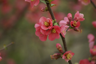 Similar image 131078