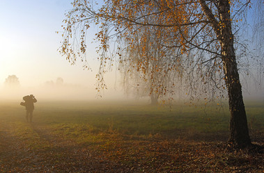 Similar image 131088