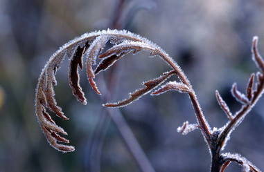 Similar image 131092