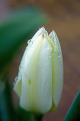 Similar image 131113