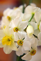 Similar image 131115