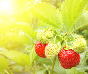 Similar image 131125