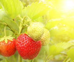 Similar image 131126