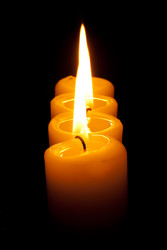 Similar image 131133