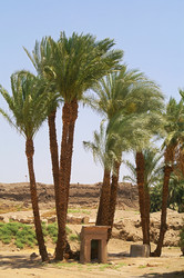 Similar image 131190