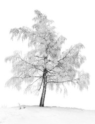 Similar image 131222