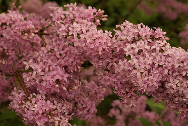 Similar image 131235