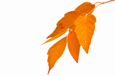 Similar image 131259