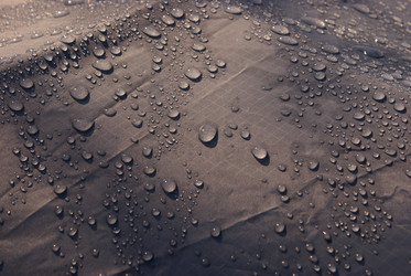 Similar image 131283