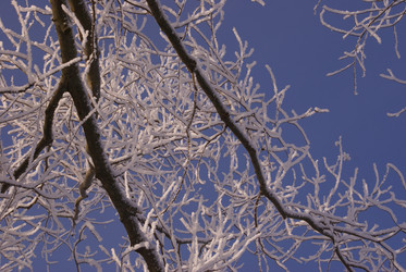 Similar image 131300