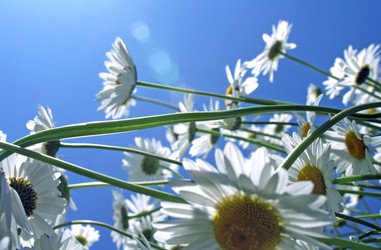 Similar image 131316