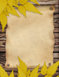 Similar image 131336