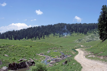 Similar image 131344