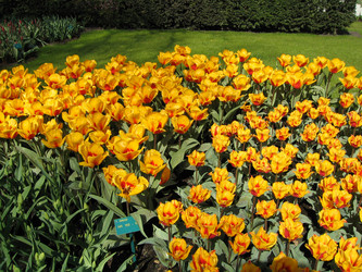 Similar image 131370