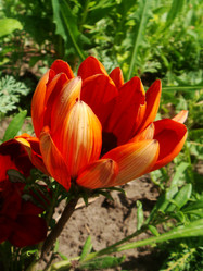 Similar image 131397