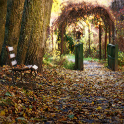 Similar image 131398