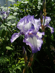 Similar image 131399