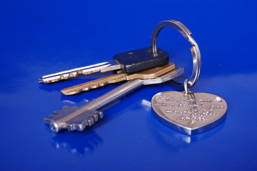 Similar image 131402